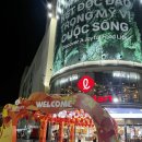 270-5060 | 다낭 롯데마트 쇼핑리스트 및 기념품 추천