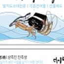 우리집건어물 이미지