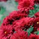 모리폴리 이미지