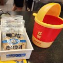 [분당 카페/미금역 카페] 저렴한 카페, 빽다방 노말한소프트 내돈내산 후기 + 메뉴판