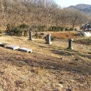 심즙신도비 이미지