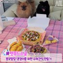 하리보 베이킹 스튜디오 이미지