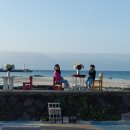 도틀왓제주