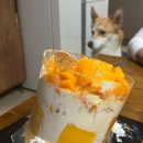 [빵집#1]성심당 말차시루(+그동안 먹은 시루 후기✨)