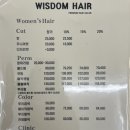 위즈덤 헤어