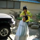 꽃피는집 이미지