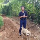 시암농장 이미지