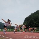 김포시청 이미지