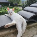 설악팬션 민박 이미지