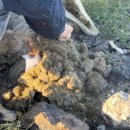 초원동물병원 이미지