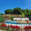 지에스25 도당부천로점 | 부천 장미축제 백만송이장미원 가볼만한 곳 방문꿀팁
