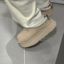 UGG | 미국 어그 타즈플랫폼 샌드 타스만 230 사이즈 매장구매