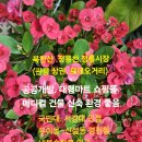 정릉빌딩