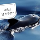 물뿜는 고래