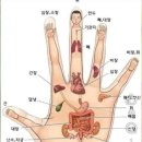 라옹정 경로당 네이버블로그