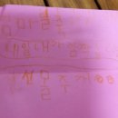 다섯꼬마