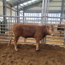 천사의축산 이미지