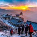 원주시티투어(순환형) 이미지