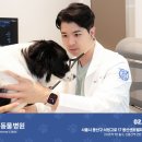 여의도 동물병원 이미지