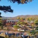 카페백운길