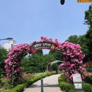 장미원내부 이미지