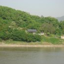 유림-42 Daum카페
