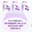 만피몰 | 강아지 피부영양제 추천. 피부 알러지 고민이라면 막내댕이 피부피모 마스터10 🐶👍