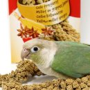 모이프레스티지 이미지