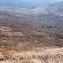 KT밀양지사 이미지