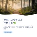 강릉 근교 힐링 코스 완전 정복 | 트레킹·산책·달리기 추천 총정리