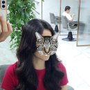 도시인미용실 | 여행(우루무치乌鲁木齐) : 네? 우루무치에서 파마를 한다구요? (중국미용실 매직셋팅후기+한달 후)