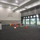 애견천국 이미지