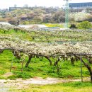 왕지2길 이미지