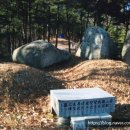서인충 장군묘소 이미지