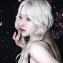 쿠로네코 | 홍대 사진관 추천 탈색 기념 쿠로네코에서 프로필 촬영하기