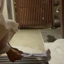 무이림5 이미지