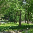 불정자연휴양림캠핑장 이미지