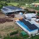 영천2 태양광발전소 이미지