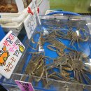 활어수산 이미지