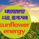 다한 태양광발전소 이미지