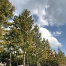 광흥창전철역 6번출구 | 광흥창역 카페 포닐 경의선숲길 따라 만난 에그타르트 맛집 후기!