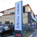 청춘판다