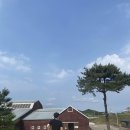 고창상하목장
