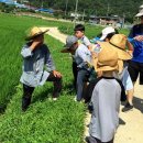 개화초등학교 이미지