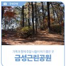 금성근린공원 네이버블로그