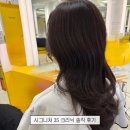 리오헤어3 | 의정부역 미용실 리오라헤어에서 받은 시그니처 3S크리닉 후기