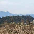 열린민원행정사사무소 이미지