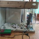 구암동127 이미지