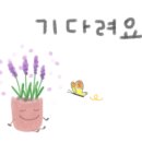 카페553원주본점 이미지