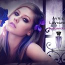 바닐라탑PC 이미지